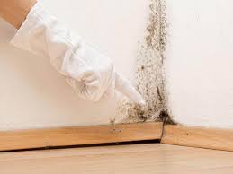 Best Water Damage & Mold Remediation  in Fort Bragg, CA